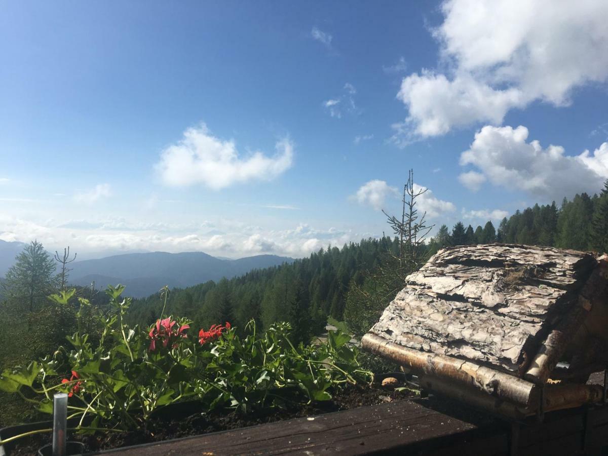 Apartmán Kretzschmar'S Huette Hochrindl Exteriér fotografie
